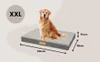 Orthopädisches Extra großes Hundebett, Gelenkschonend Produktbild-Vorschau 12