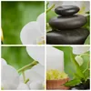 Bild auf Leinwand - Leinwandbild - Blume aromatherapie spa Produktbild-Vorschau 8