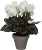 Mica Decorations Cyclamen plante artificielle dans pot de Voir les images du produit 1