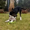 Dingo Hundespielzeug aus Kunstfell + Bungee-Griff und Produktbild-Vorschau 6
