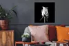 MuchoWow® Poster Rosen - Blumen - Schwarz - Weiß 50x50 cm - Produktbild-Vorschau 2