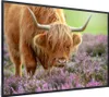 MuchoWow® MuchoWow® Gerahmtes Poster Schottisches Produktbild-Vorschau 7