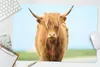 MuchoWow® Schreibtischunterlage Schottischer Highlander - Produktbild-Vorschau 5