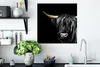 MuchoWow® Poster Schottisches Hochlandrind - Goldene Hörner Produktbild-Vorschau 3