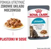 ROYAL CANIN Urinary Care 12x85g Podgląd zdjęcia produktu 10