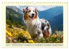 Australian Shepherd. Wanderfreude auf Pfoten im Bergsommer Produktbild-Vorschau 10
