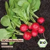 Samenliebe  Radieschen Samen | Saxa 2 - mild & rund - Produktbild-Vorschau 4