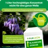 Purgrün Blauregen-Dünger 1 Liter, Produktbild-Vorschau 4
