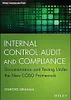 Interne Kontrollprüfung und Compliance: Dokumentation und Produktbild-Vorschau 2