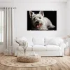 Glasbild 90x60cm in XXL für Wohnzimmer, Schlafzimmer Motiv Produktbild-Vorschau 2