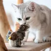 Katzenspielzeug für Hauskatzen, interaktives Produktbild-Vorschau 4