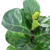 Geigenfeige - pflegeleichte Zimmerpflanze, Ficus Lyrata Produktbild-Vorschau 2