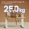 FLEXISPOT E6Q Elektrisch Höhenverstellbarer Schreibtisch, Produktbild-Vorschau 3