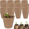 201277 BIODEGRAD BIODEGRAD PLANT PACKS 6 cm 60 ks. Náhľad obrázku produktu 21