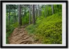 Bild - Bilderrahmen - 100 cm x 70 cm - MDF - Rahmen - Foto Produktbild-Vorschau 1