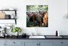 MuchoWow® Poster Schottische Highlander - Wald - Tiere Produktbild-Vorschau 3