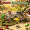 Adventskalender 2026 Kinderen Regenwoud Dieren Figuren Productafbeelding-voorbeeld 6