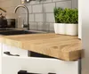 A close-up view of a modern kitchen countertop with a sink, faucet, and a potted plant. Podgląd zdjęcia produktu