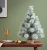Minibaum Tannenbaum grün beschneit Jutesack Ø 26cm H.45cm Produktbild-Vorschau 3