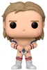 Kopie van een FUNKO POP CULTURE muziekfiguur: ROCK LEMMY Productafbeelding-voorbeeld 1