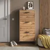 Výklopník na boty Vicco Amber Dub Wotan 62 x 130 cm se 3 Náhled obrázku produktu 1