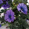 Mica Decorations Petunien hängend in Blumentopf Stan - L50 Produktbild-Vorschau 3