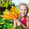 5 m de ruban de semences de carottes (Nantaise 2 - Daucus Voir les images du produit 5