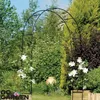 Zahradní pergola Kovový oblouk pro růže Květiny Popínavé Náhled obrázku produktu 4