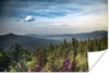 MuchoWow® Poster Übersicht über die Bäume im Nationalpark Produktbild-Vorschau 1