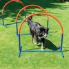 Hoopers Hunde Agility Bogen 3 Stück ca. 100x90 cm (BxH) aus Produktbild-Vorschau 3
