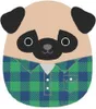 Pluszowy Piesek Pug Squishmallows w Zielono-Niebieskiej Anteprima dell’immagine prodotto 2
