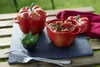 ZWILLING STAUB CERAMIQUE, Auflaufform, Keramik, Keramik, Produktbild-Vorschau 8