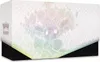 Pokémon TCG : SV8.5 Évolutions prismatiques - Boîte du Voir les images du produit 3