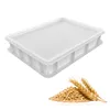2x Pizzaballenbox mit Deckel, 40x30x7,5 cm | Gärbox, Produktbild-Vorschau 3