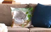 MuchoWow® Zierkissen Sofakissen Wohnzimmer Dekokissen 45x45 Produktbild-Vorschau 2