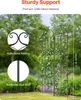 SucceBuy Gartenspalier für Kletterpflanzen, 221,1 x 50,8 Produktbild-Vorschau 2