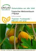 Artikelbild 1 von 'Tropischer Melonenbaum / Papaya' aus der Kategorie Exotische Samen Voir les images du produit