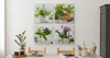 Leinwandbilder Set Aufhängefertig 4 Bilder KRÄUTER Blumen Produktbild-Vorschau 6