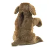 Folkmanis Sitting, Handpuppe, Tier, 1 Stück(e) Produktbild-Vorschau 6