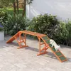 PawHut - Passerelle d'agilité pour chiens - Équipement Voir les images du produit 2