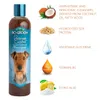 BioGroom Bronze Lustre Shampoo colorato per cani, Anteprima dell’immagine prodotto 4