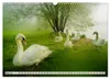 Bielefeld - Der Obersee - unendliche Motive... Produktbild-Vorschau 6