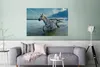 MuchoWow® Poster Pferd - Wasser - Tropfen 120x80 cm - Produktbild-Vorschau 5