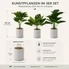INtrenDU Kunstpflanzen 3er Set im Topf, je 52 cm, Produktbild-Vorschau 3
