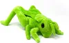 A plush toy grasshopper on a white background. Produktbild-Vorschau