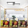 ZMH stropní světlo černé LED stmívatelné s dálkovým Náhled obrázku produktu 3