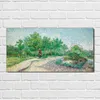 Coloray - Bild aus Glas - Glasbilder - 100 x 50 cm - Produktbild-Vorschau 2