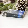 A product box for LED lights, placed on a white surface with pine branches and pinecones in the background. Produktbild-Vorschau