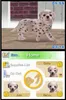 A screenshot of a Nintendo DS game displaying a virtual pet simulation. Produktbild-Vorschau