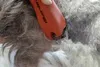 AESCULAP-FAVORITA CL Akku-Schermaschine mit 2 Produktbild-Vorschau 8